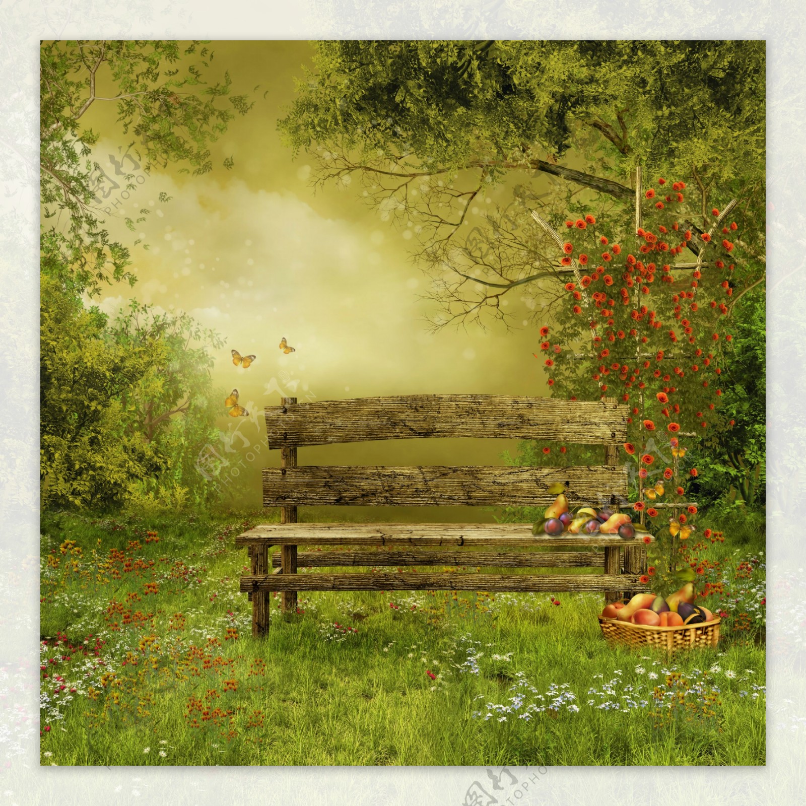 木椅子水果与草地风景图片
