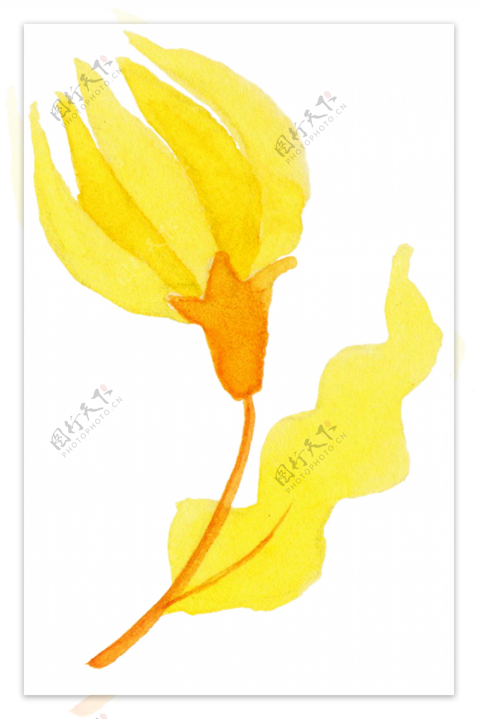 黄色经典花朵图片素材