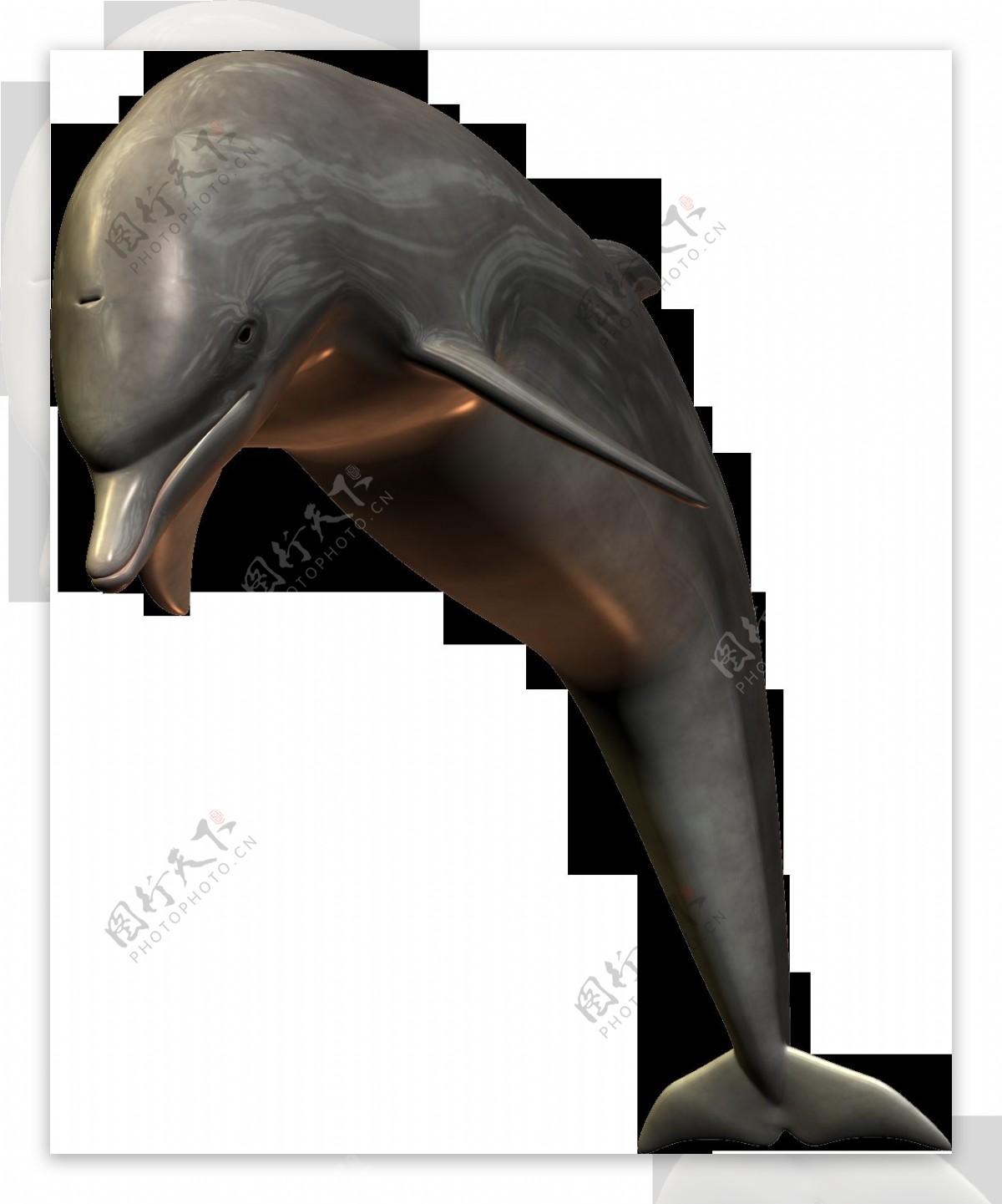 跳跃的海豚图片免抠png透明图层素材