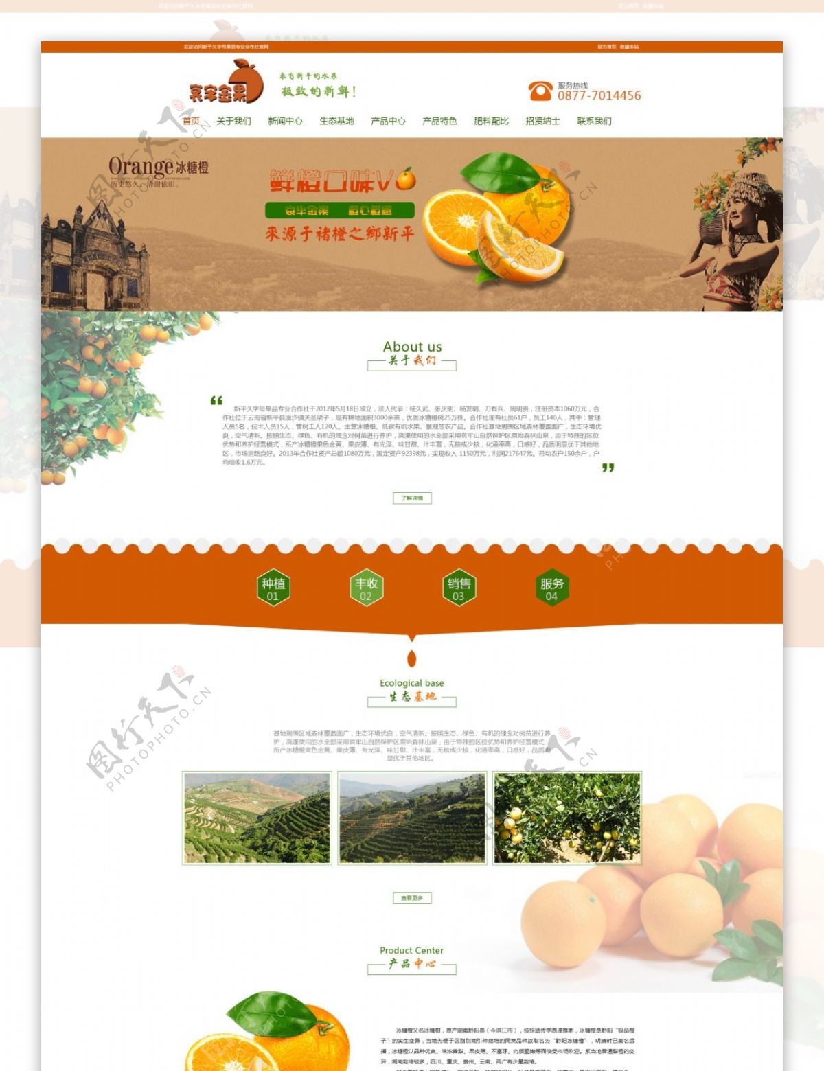橙子种植网站首页