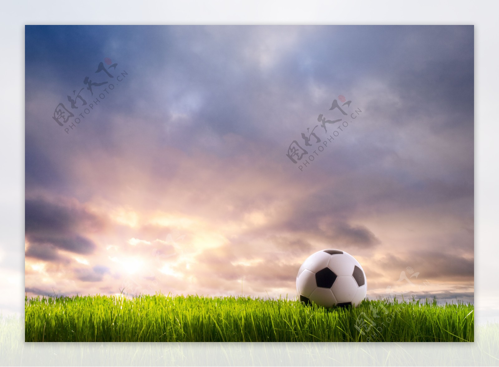 草地上的足球图片