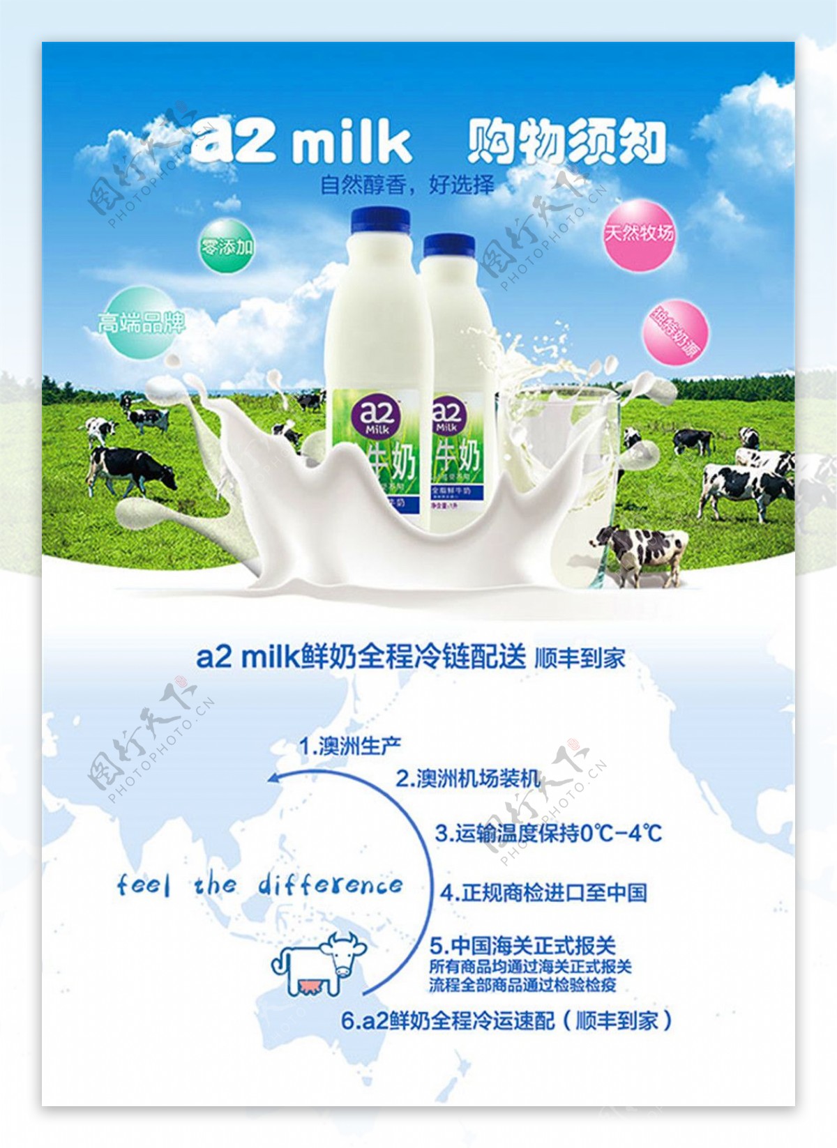进口牛奶宣传单