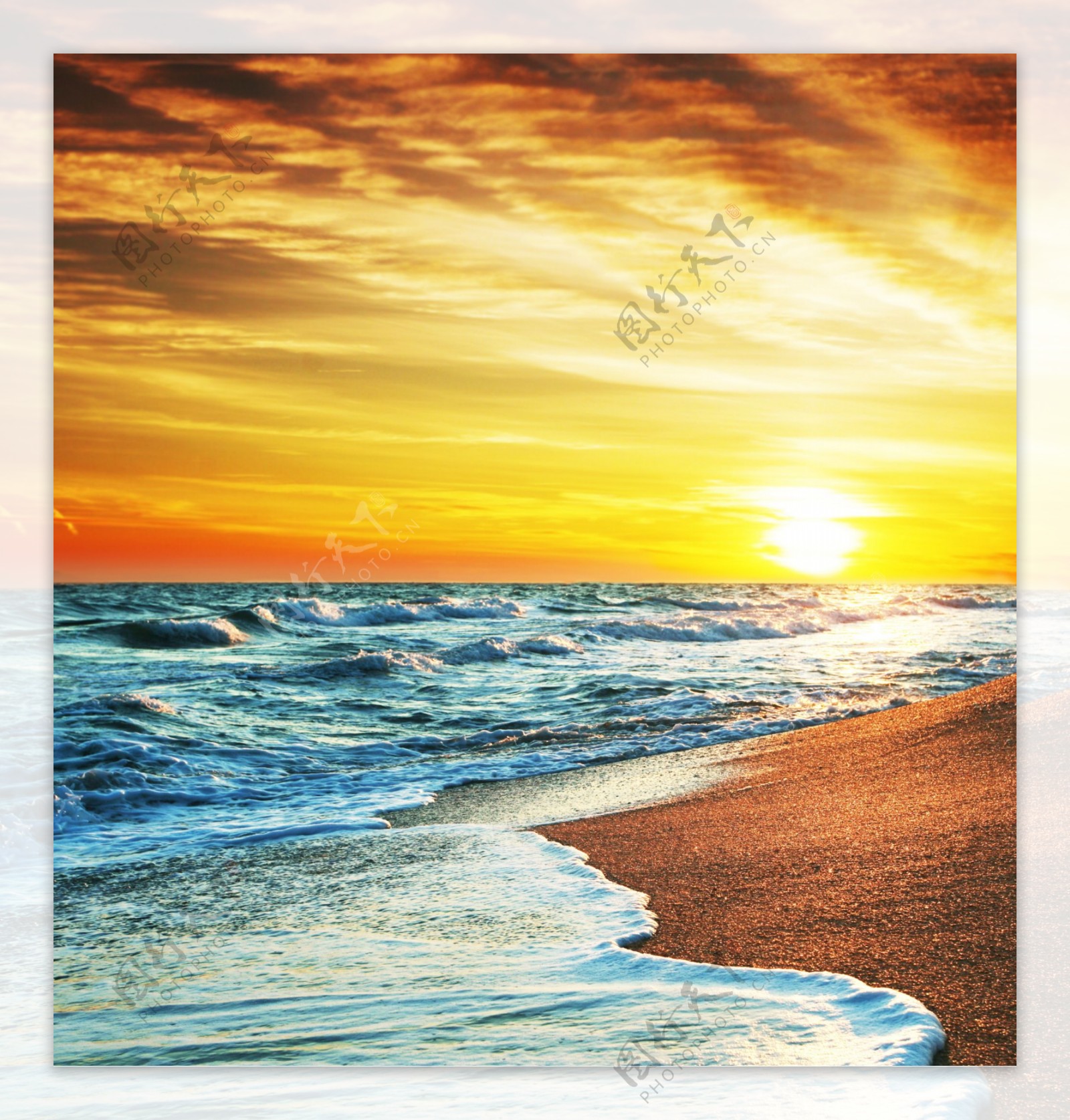 阳光照耀下的海浪图片