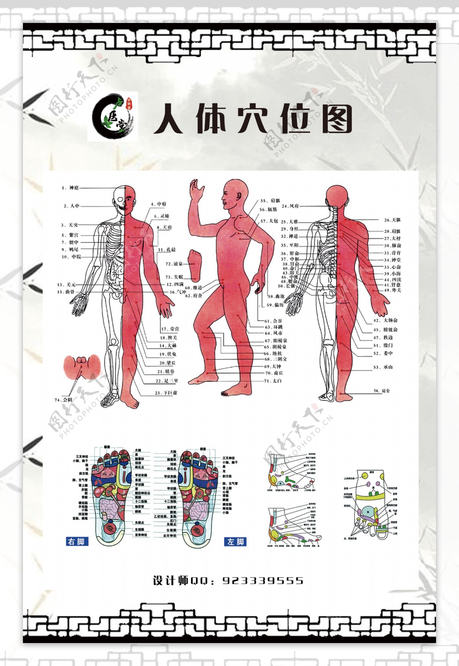西医理疗构造人体图