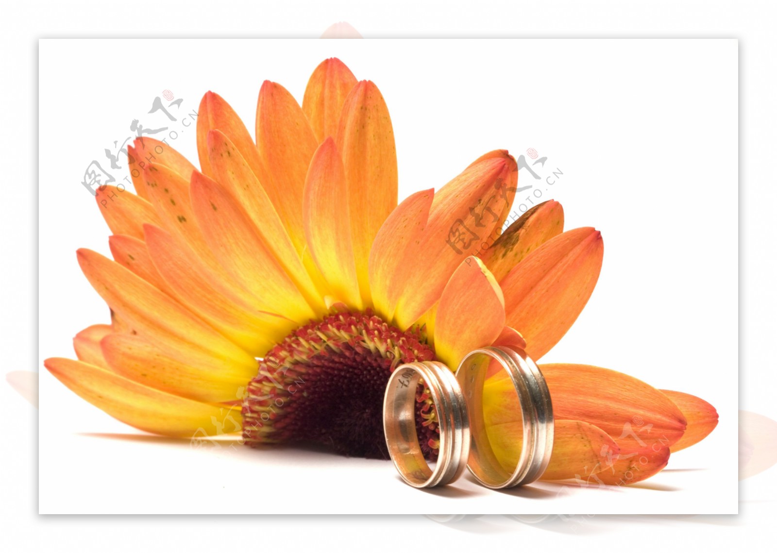 鲜花与结婚戒指图片