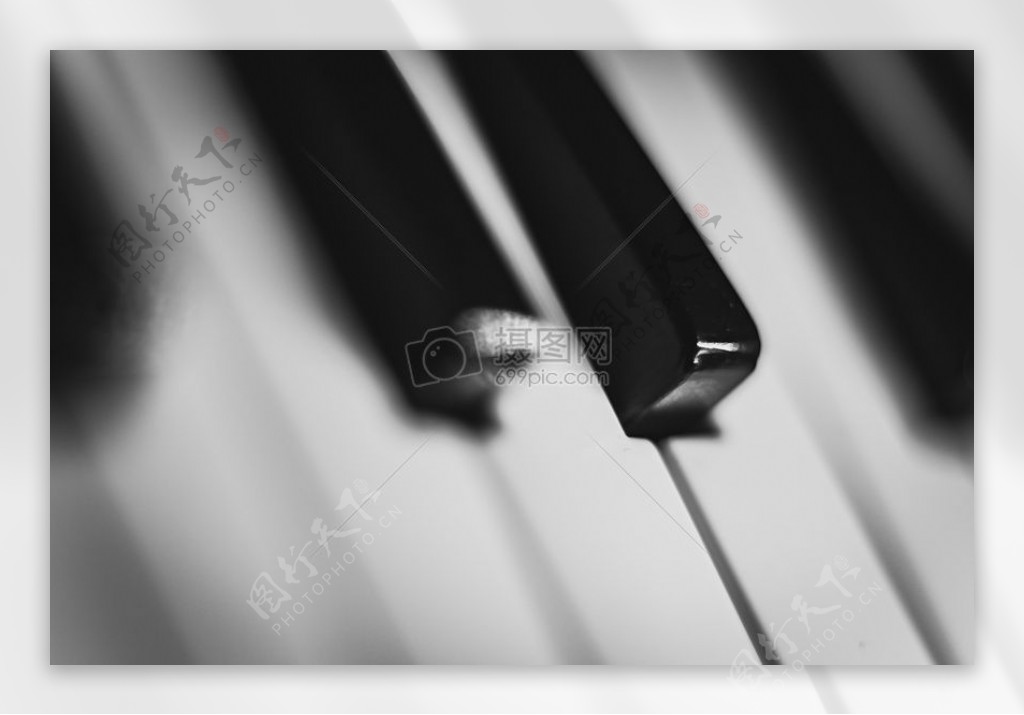 黑与白音乐钢琴钥匙