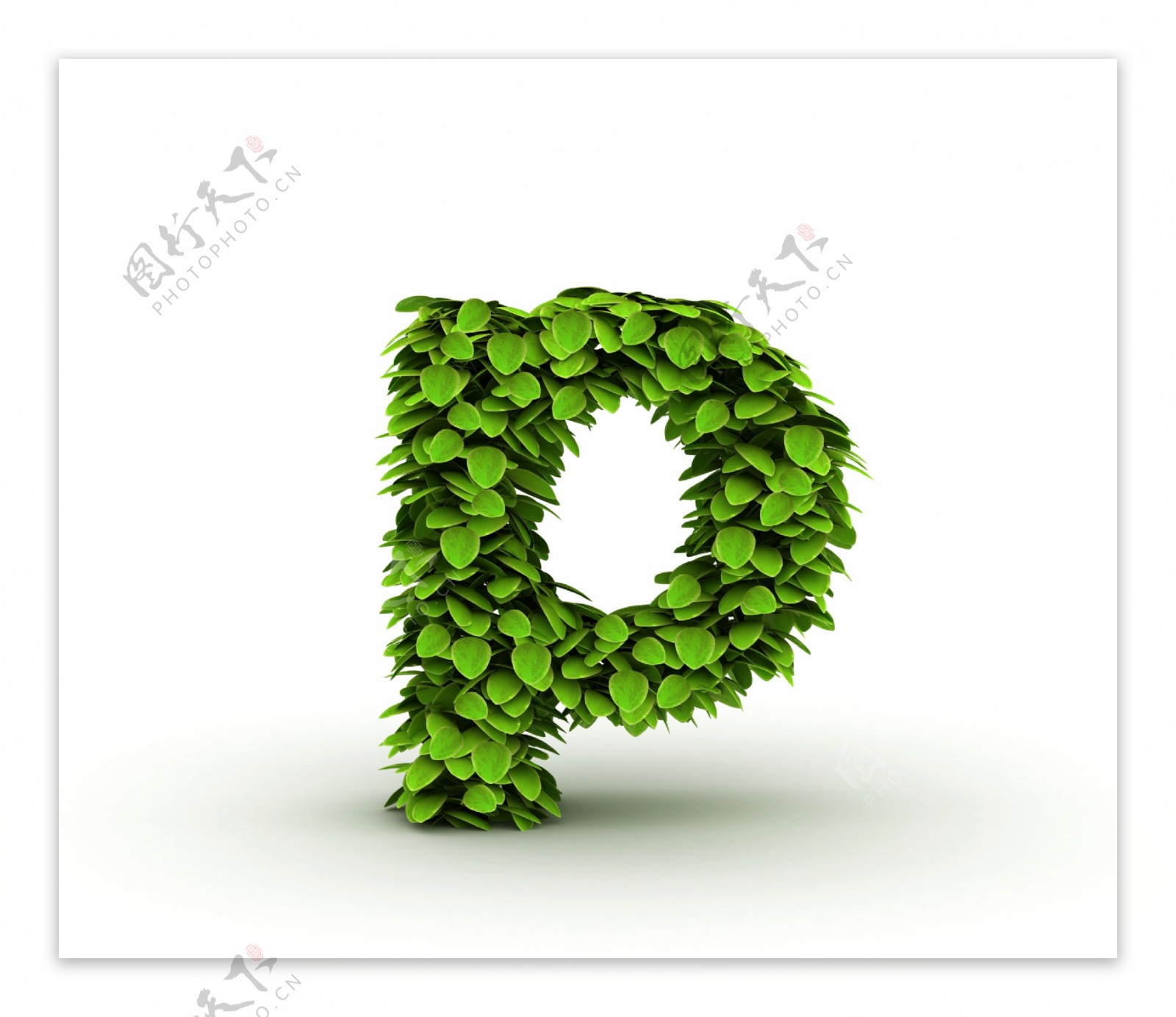绿叶组成的字母p图片