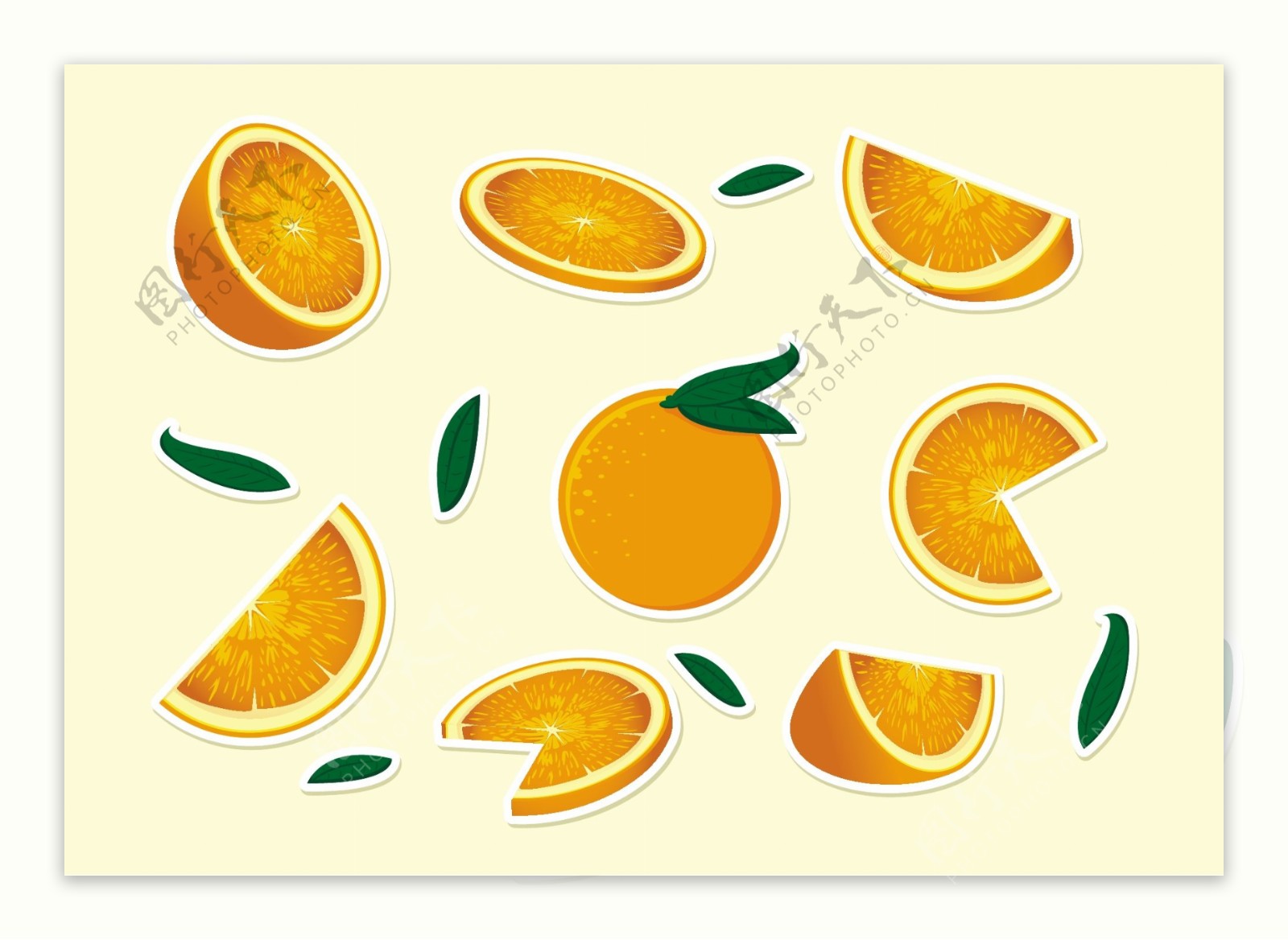 手绘橙子橘子