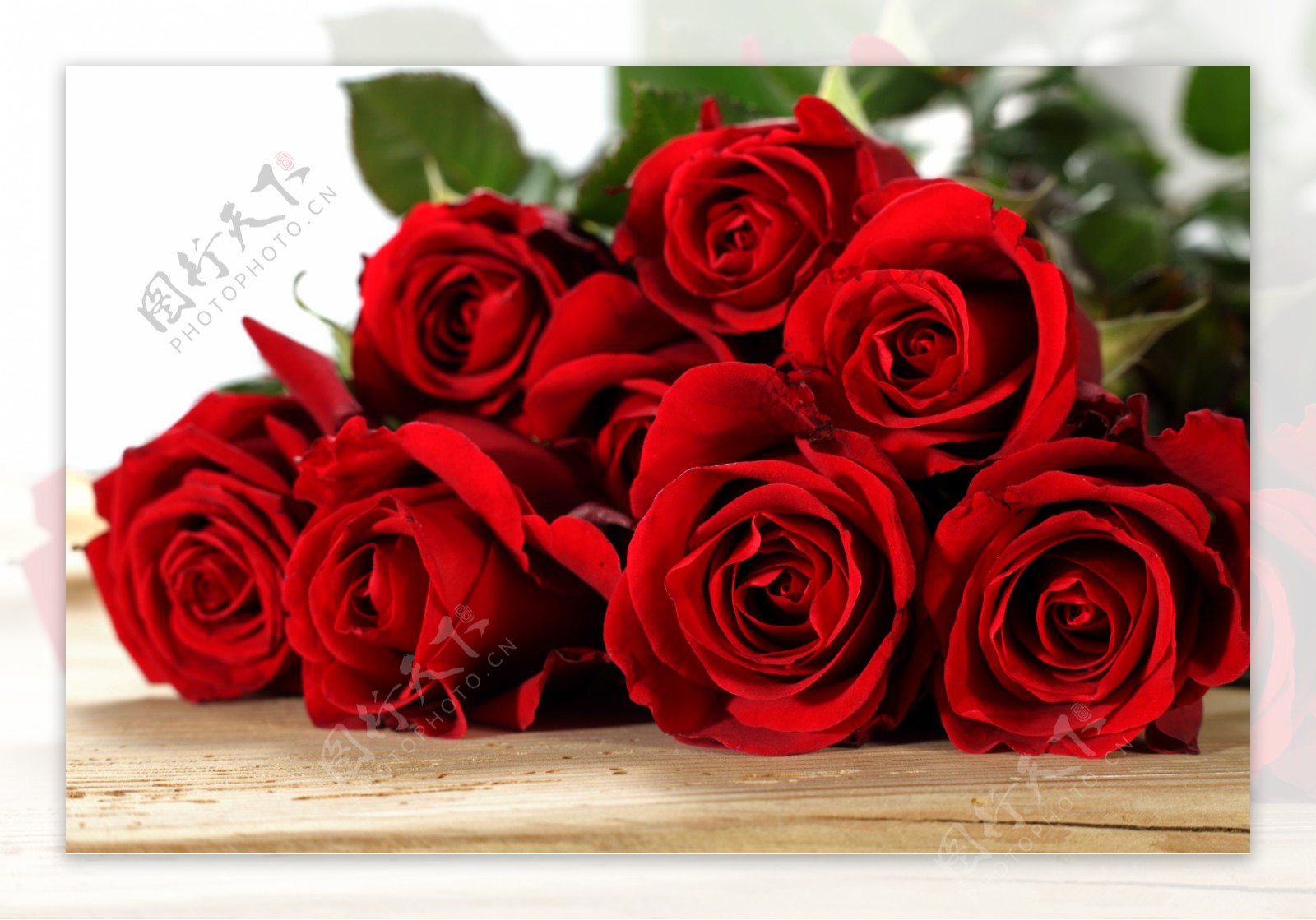 木板上的红玫瑰图片