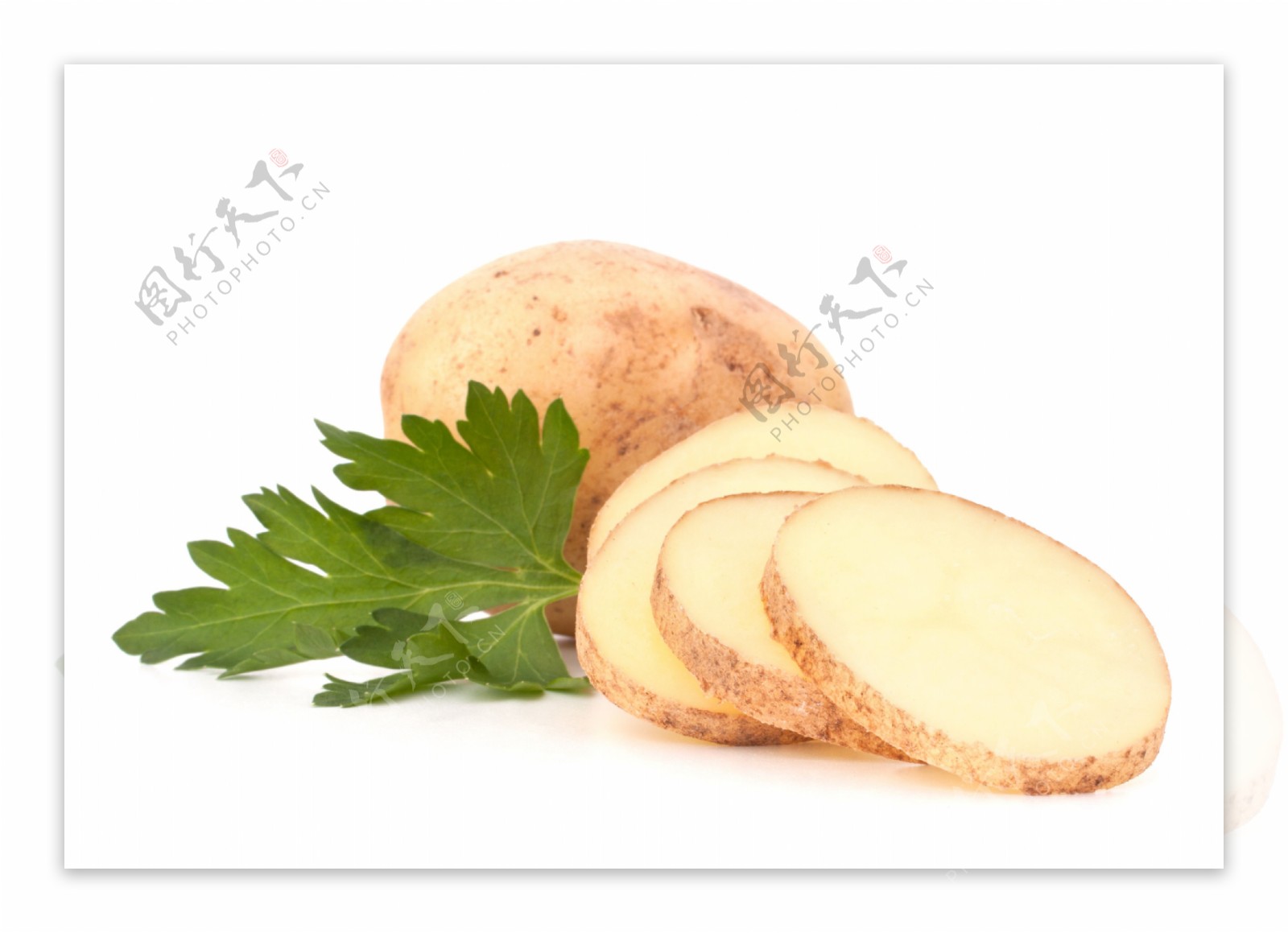 土豆与芹菜叶图片