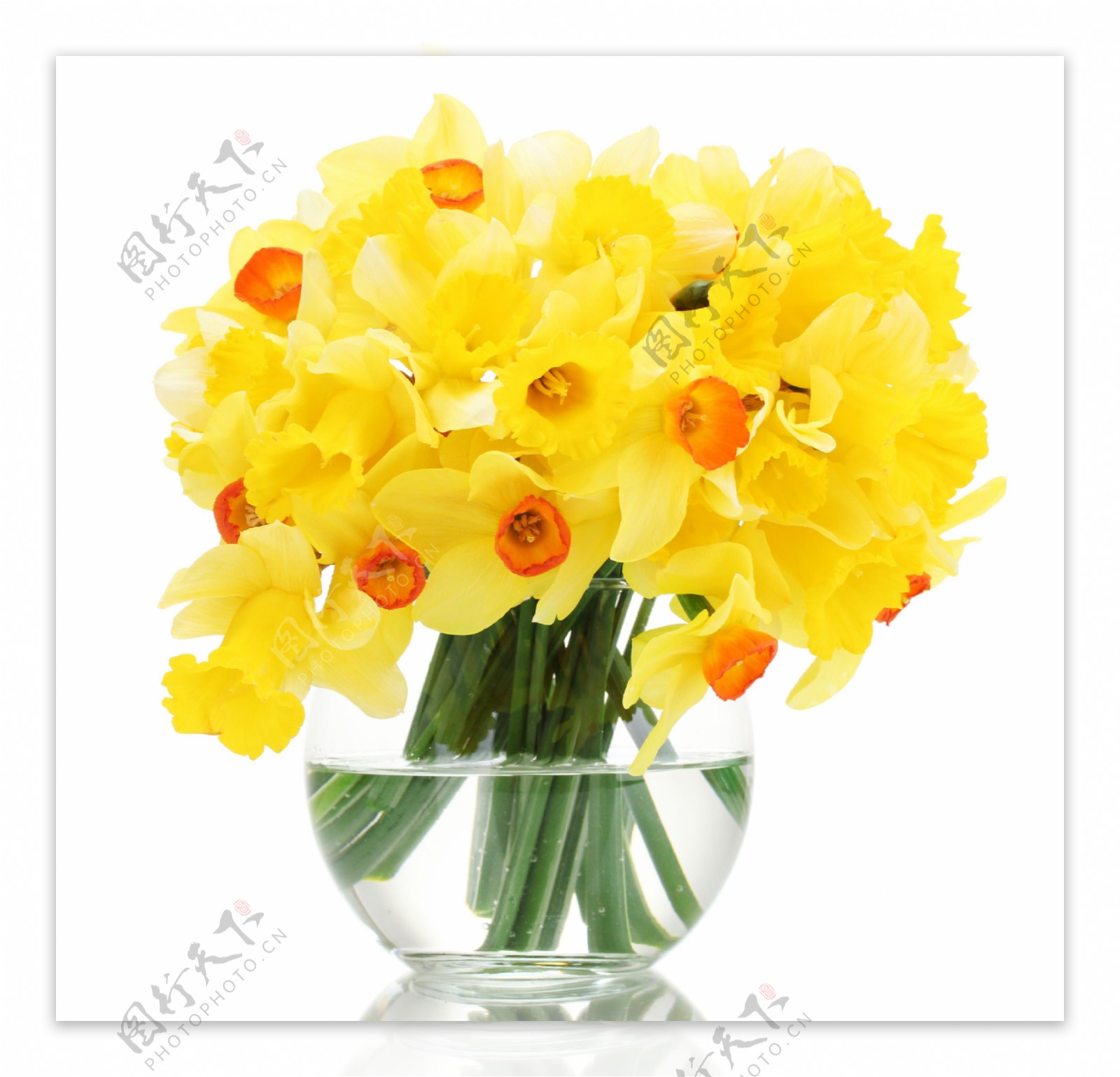 玻璃缸里的黄色花朵图片