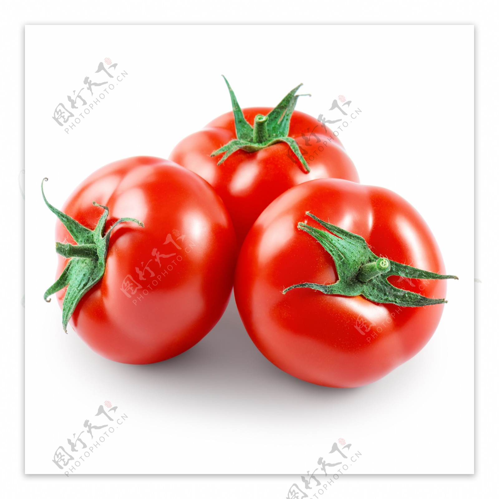 番茄摄影图片