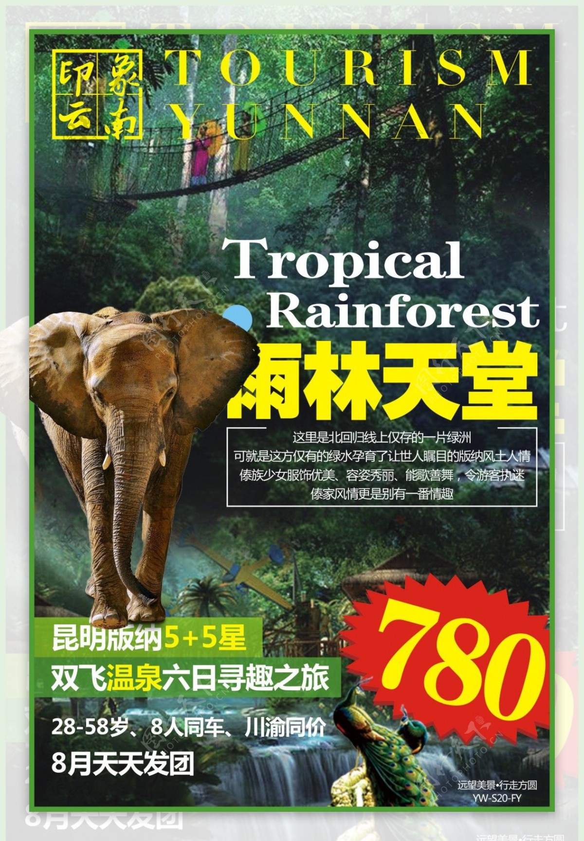 雨林天堂云南旅游广告西双版纳昆明
