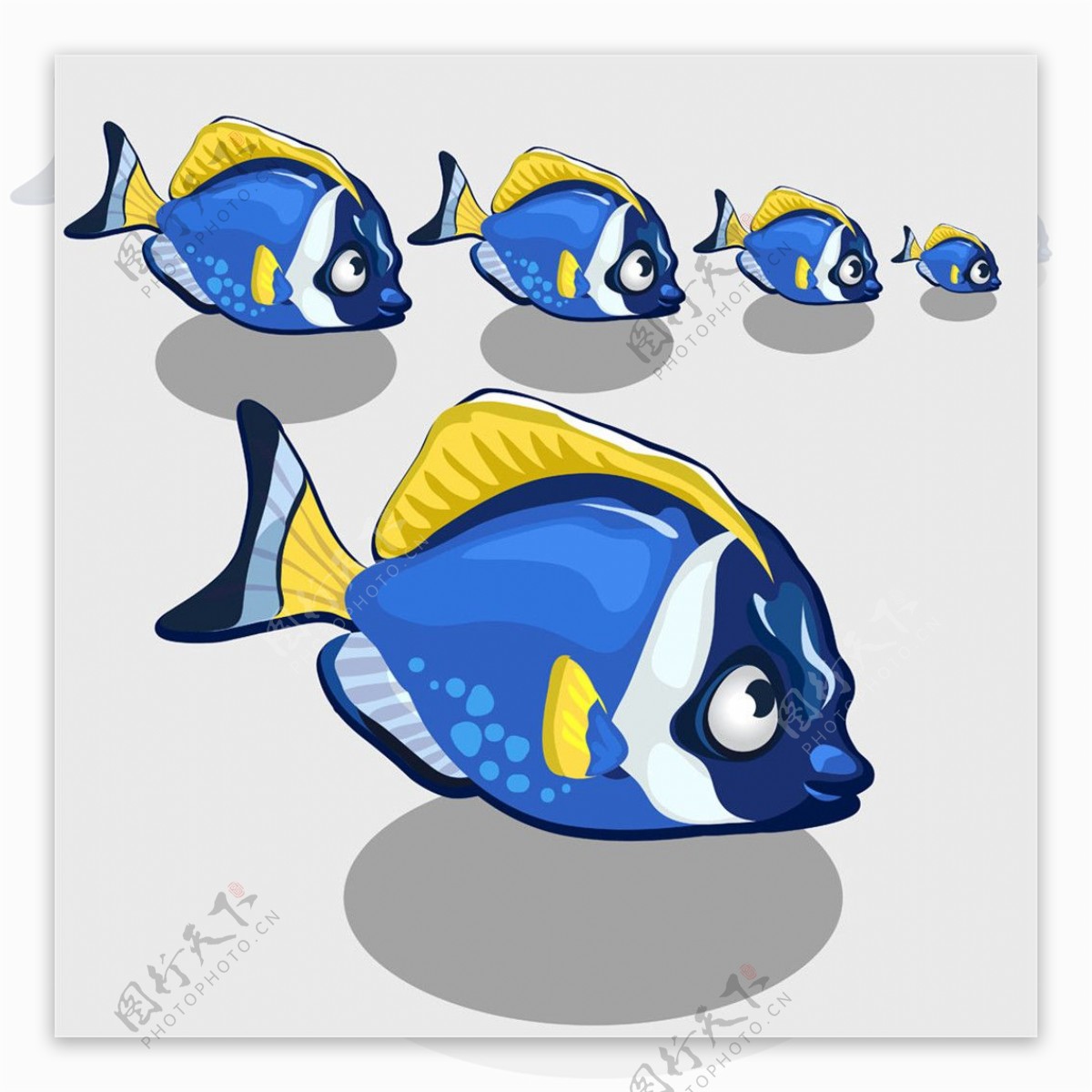 蓝色花纹鱼图片