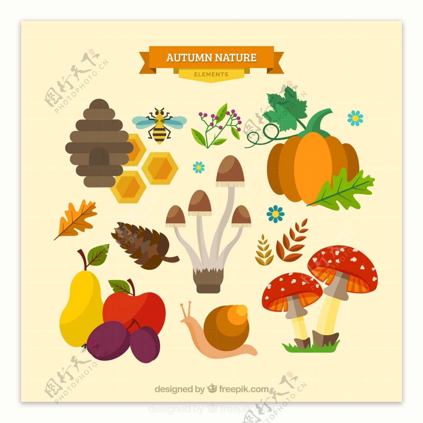 秋季蔬菜元素素材