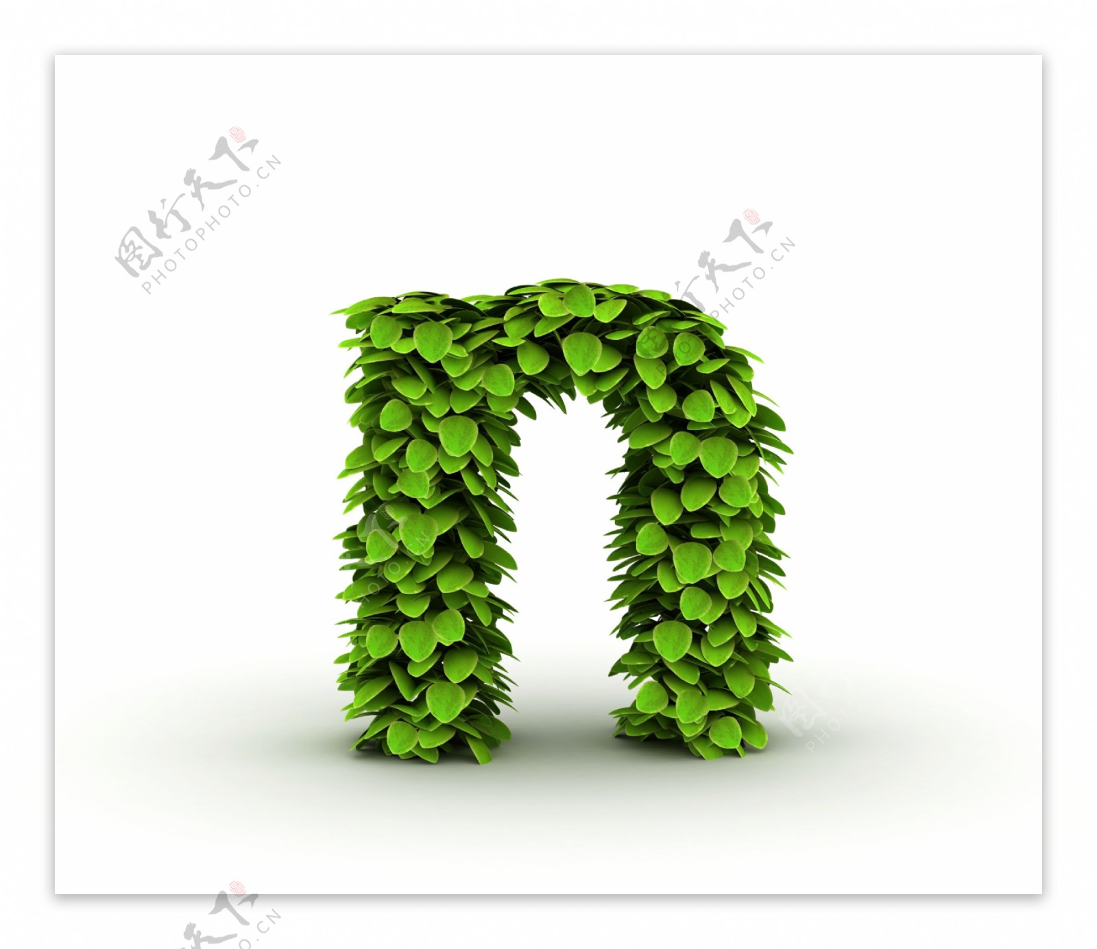 绿叶立体文字n