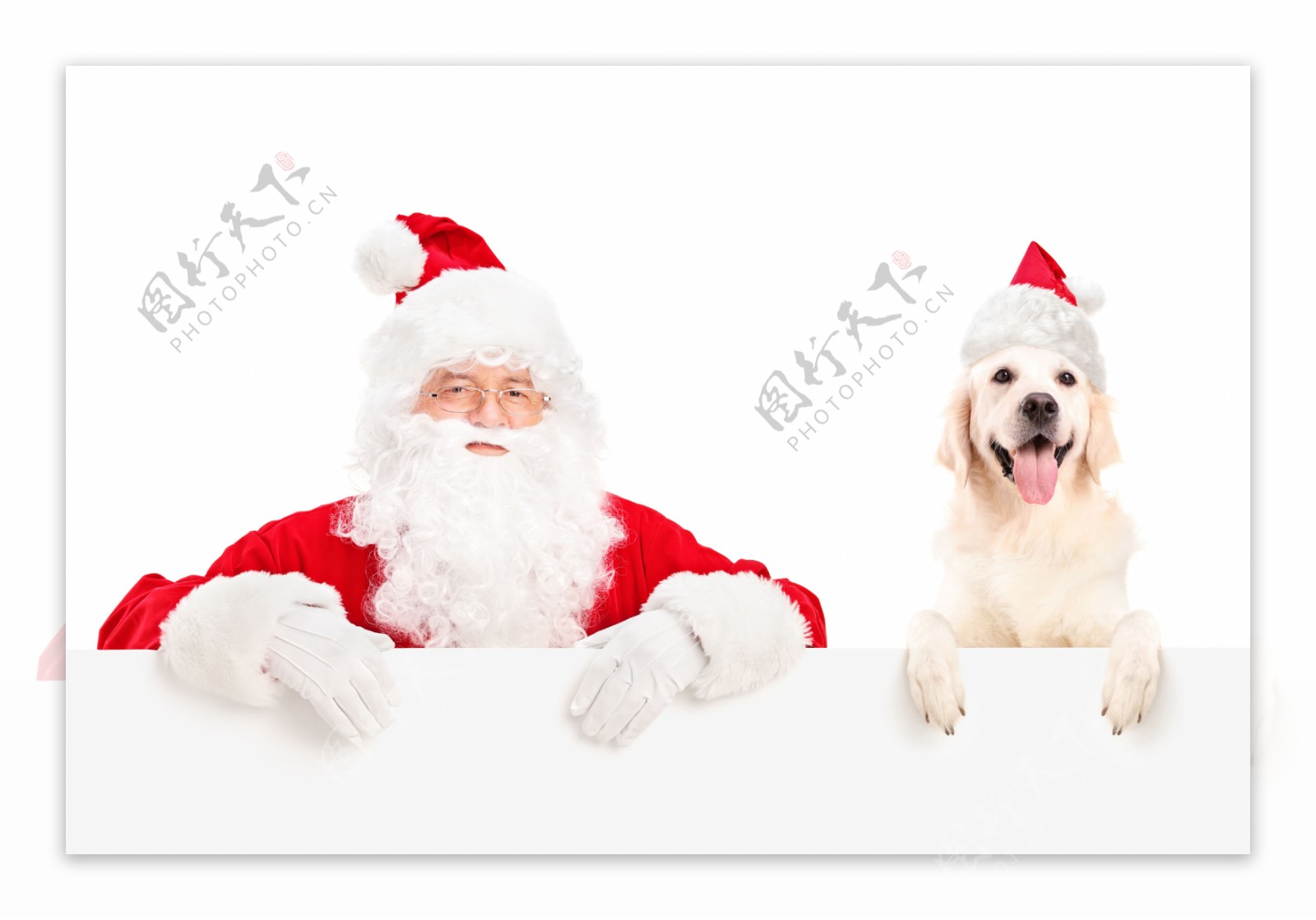 圣诞老人与小狗图片