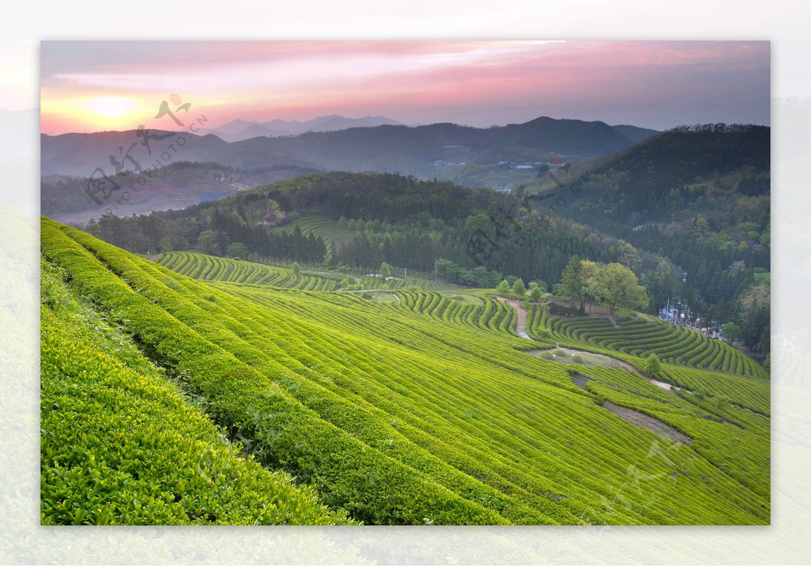 大山中的春色高清风景图片图片