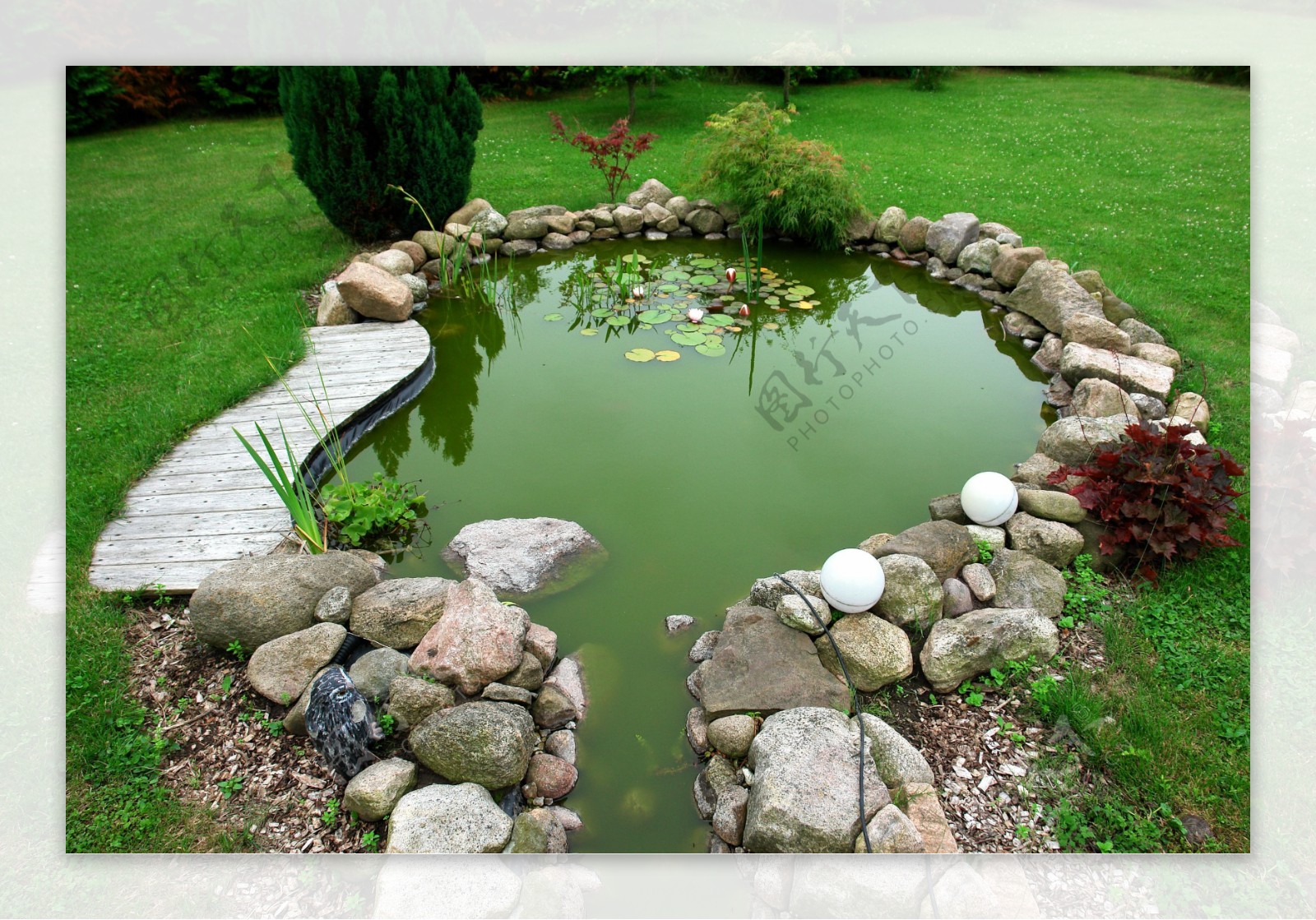 绿色草地上的水池图片