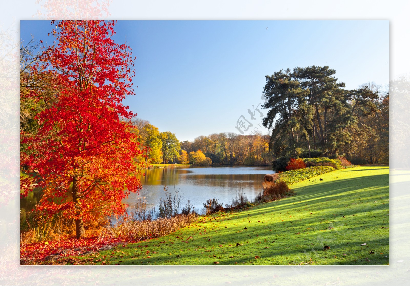 秋天河流草地风景图片