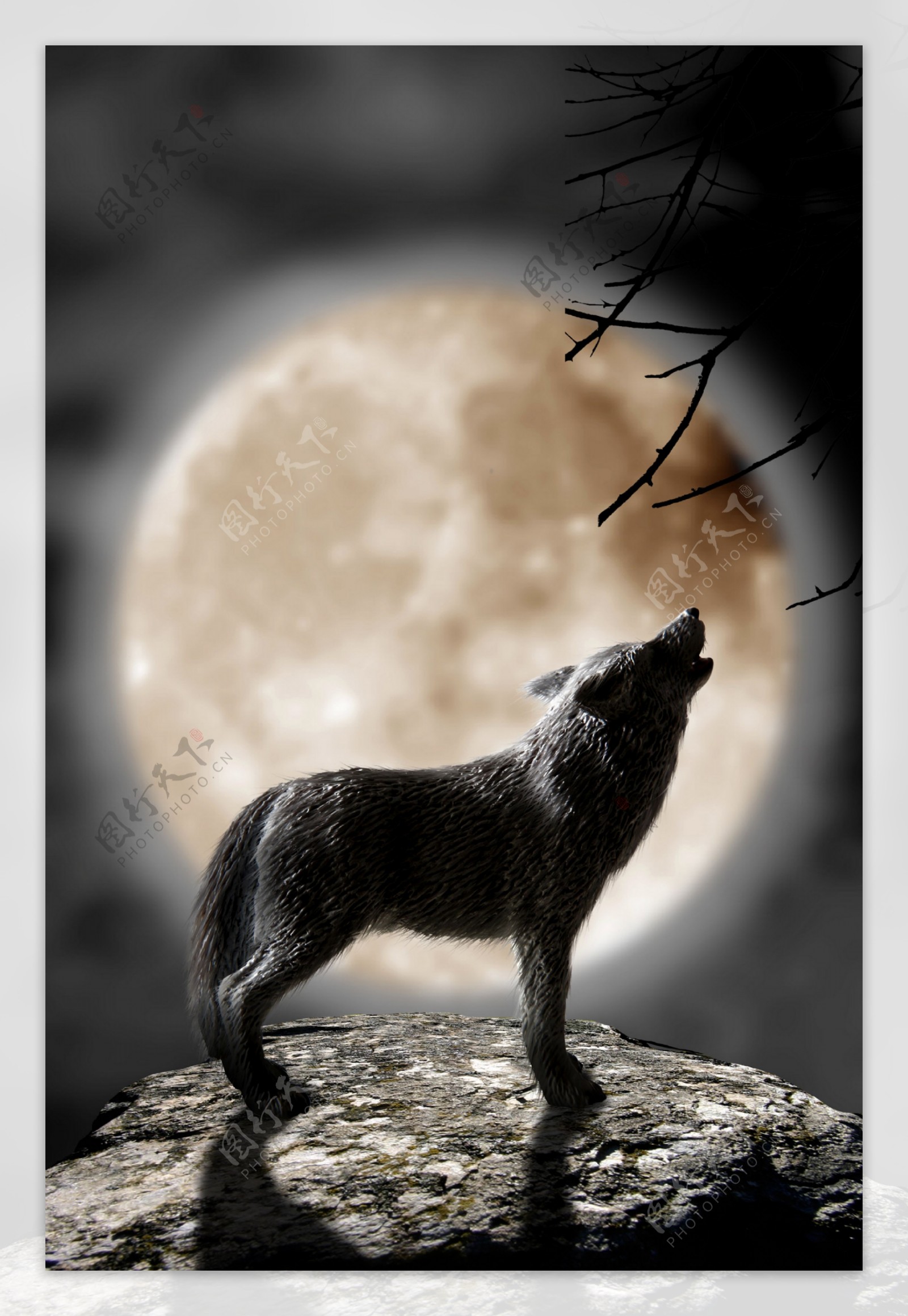 狼与圆月图片
