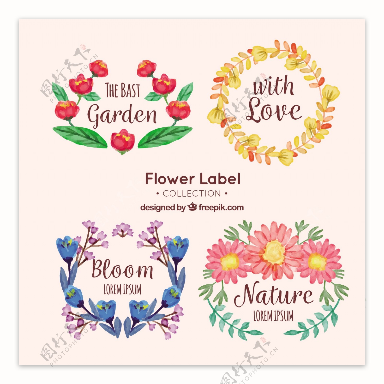 四种水彩风格花卉标签