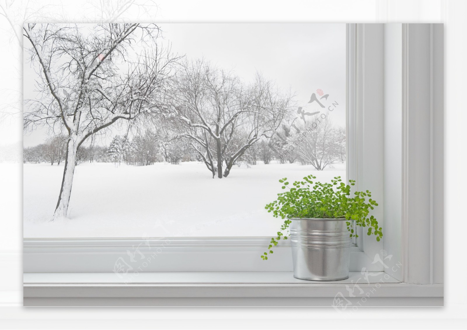 窗户外的冬季风景