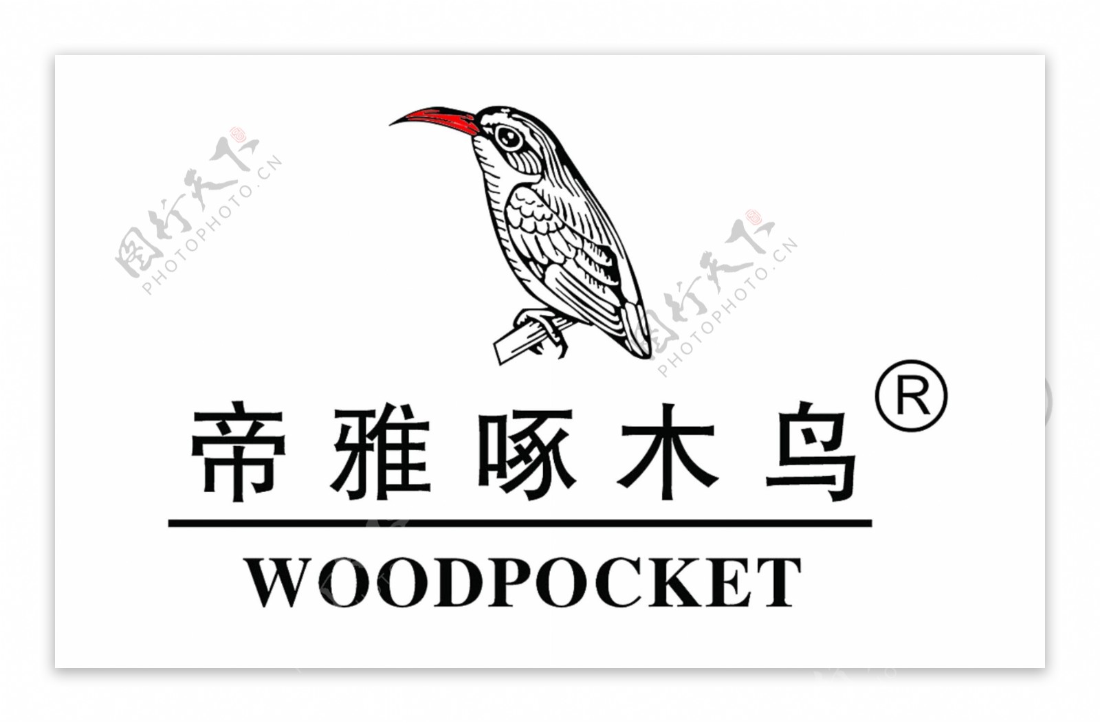 帝雅啄木鸟logo