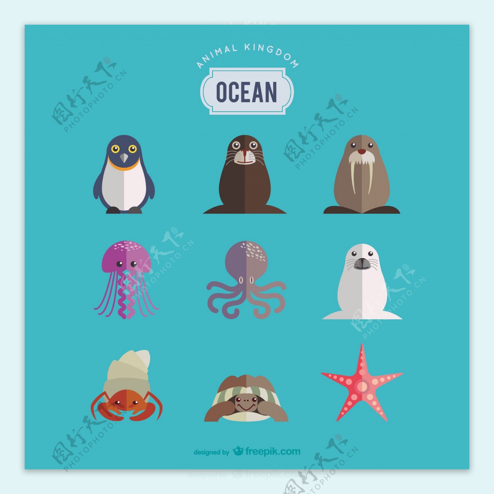 海洋动物集