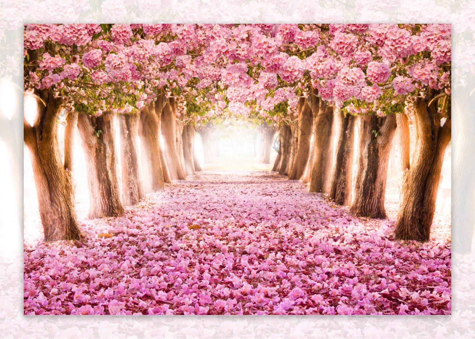 大树鲜花背景图片