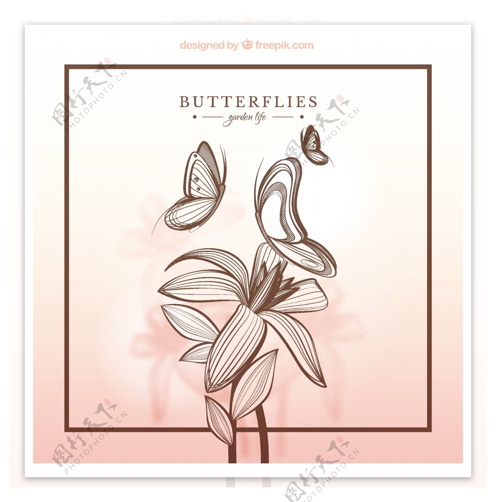手绘蝴蝶和花