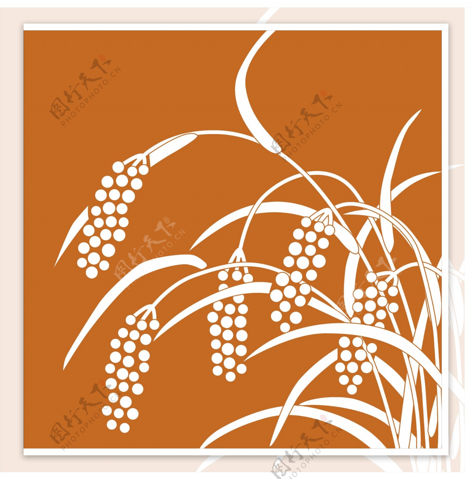 麦子图案设计图片