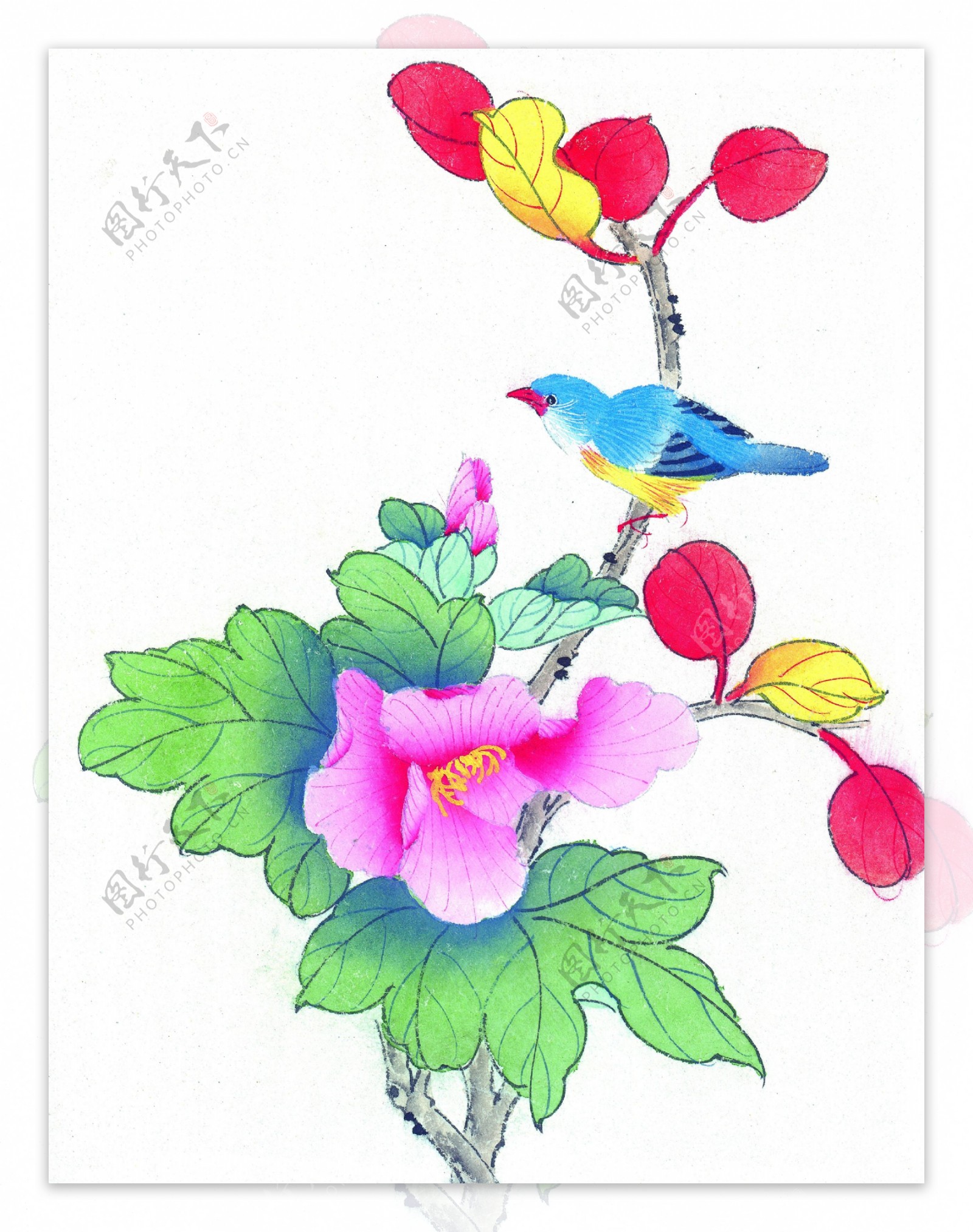 喜鹊花卉国画图片