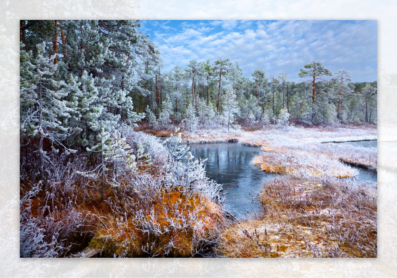 冬季里的树木小溪风景图片