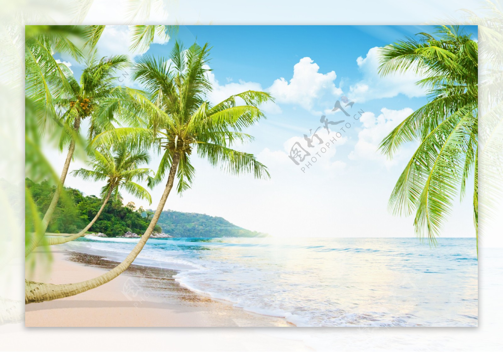 沙滩椰树与海浪图片