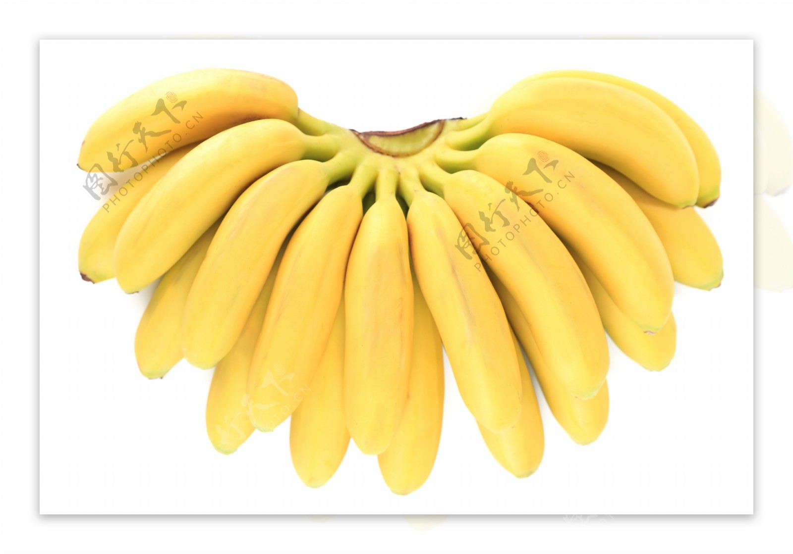 一簇黄色的香蕉图片