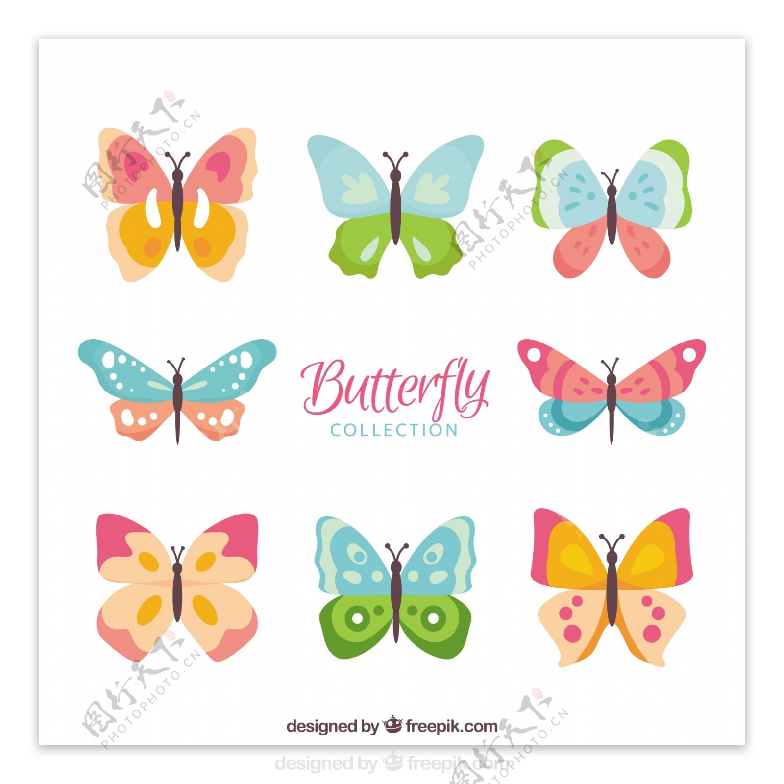 颜色种类的蝴蝶