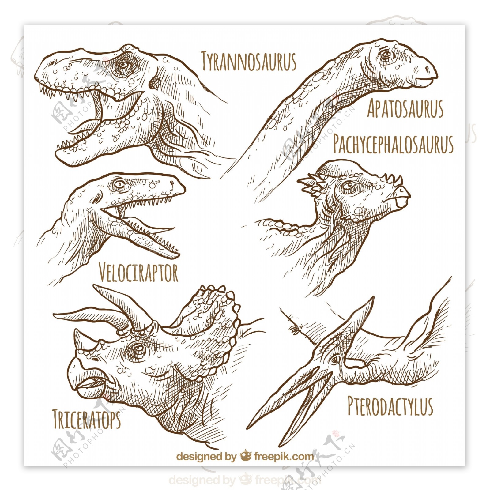 手绘类恐龙