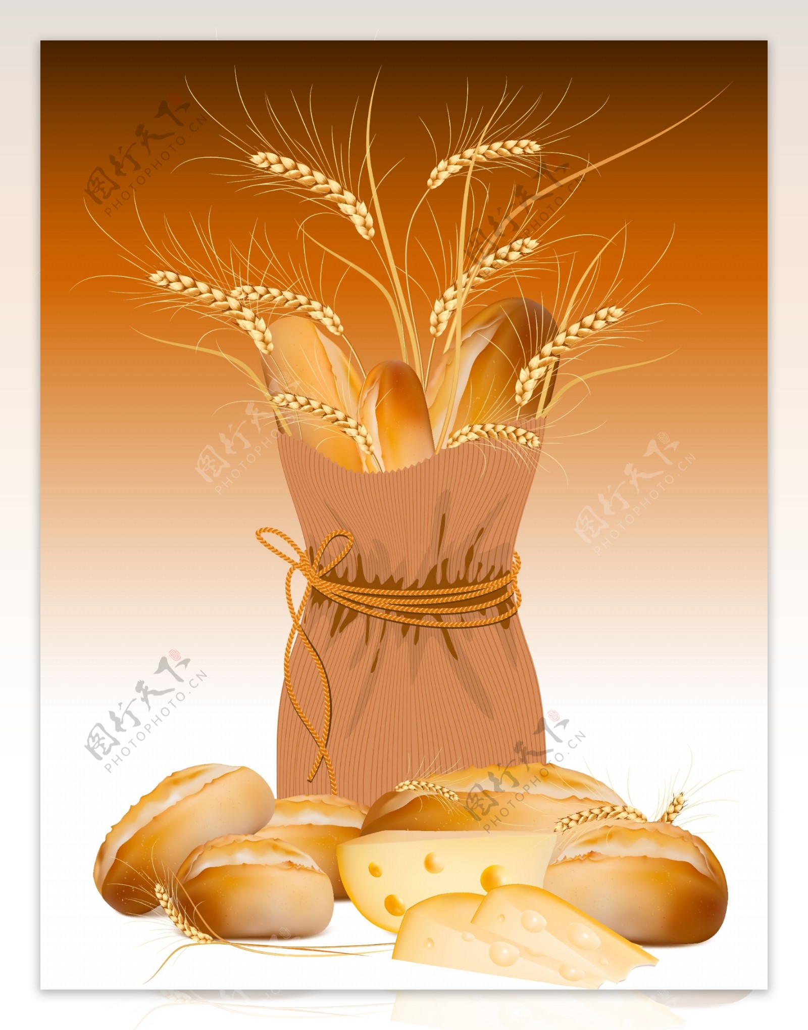 小麦与面包素材