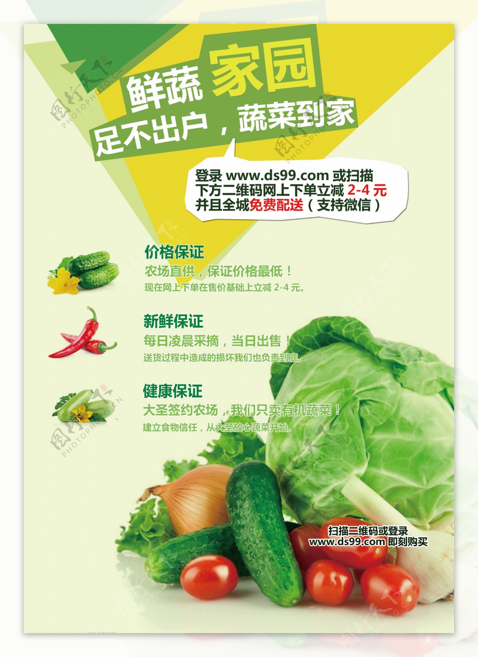 蔬菜宣传单