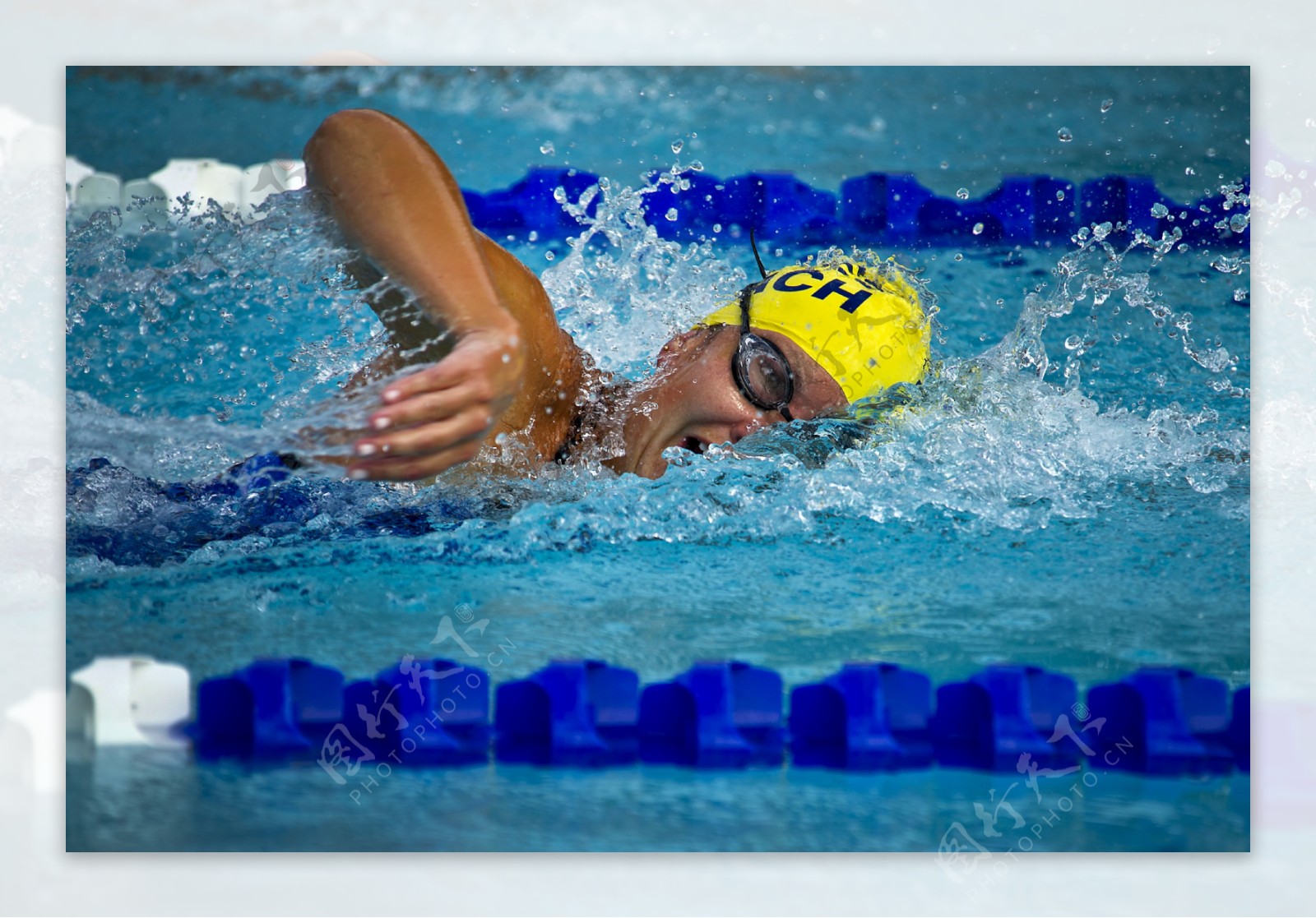 运动员游泳图片
