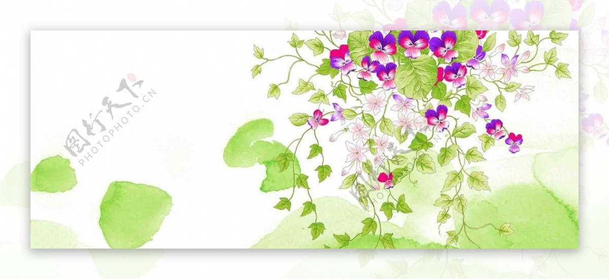 紫花和绿叶青藤背景