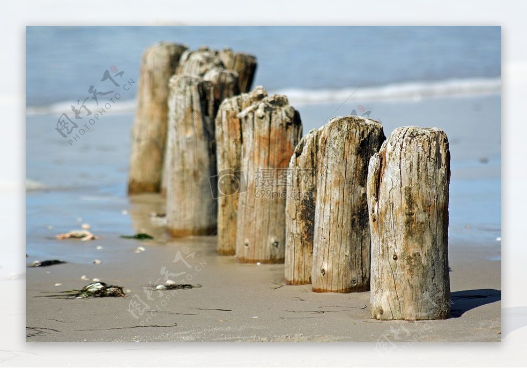 海边的木头