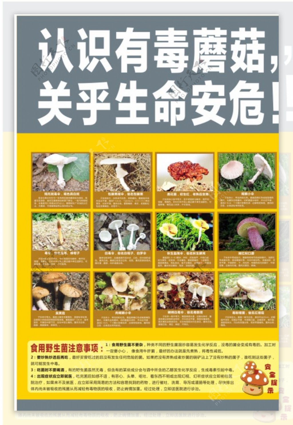 毒蘑菇宣传海报