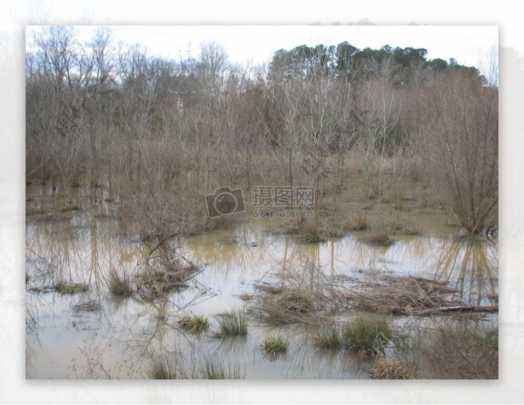 雨后的沼泽