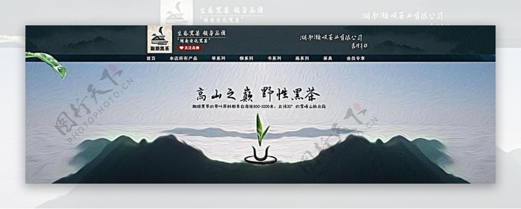 淘宝湖南黑茶店招海报素材