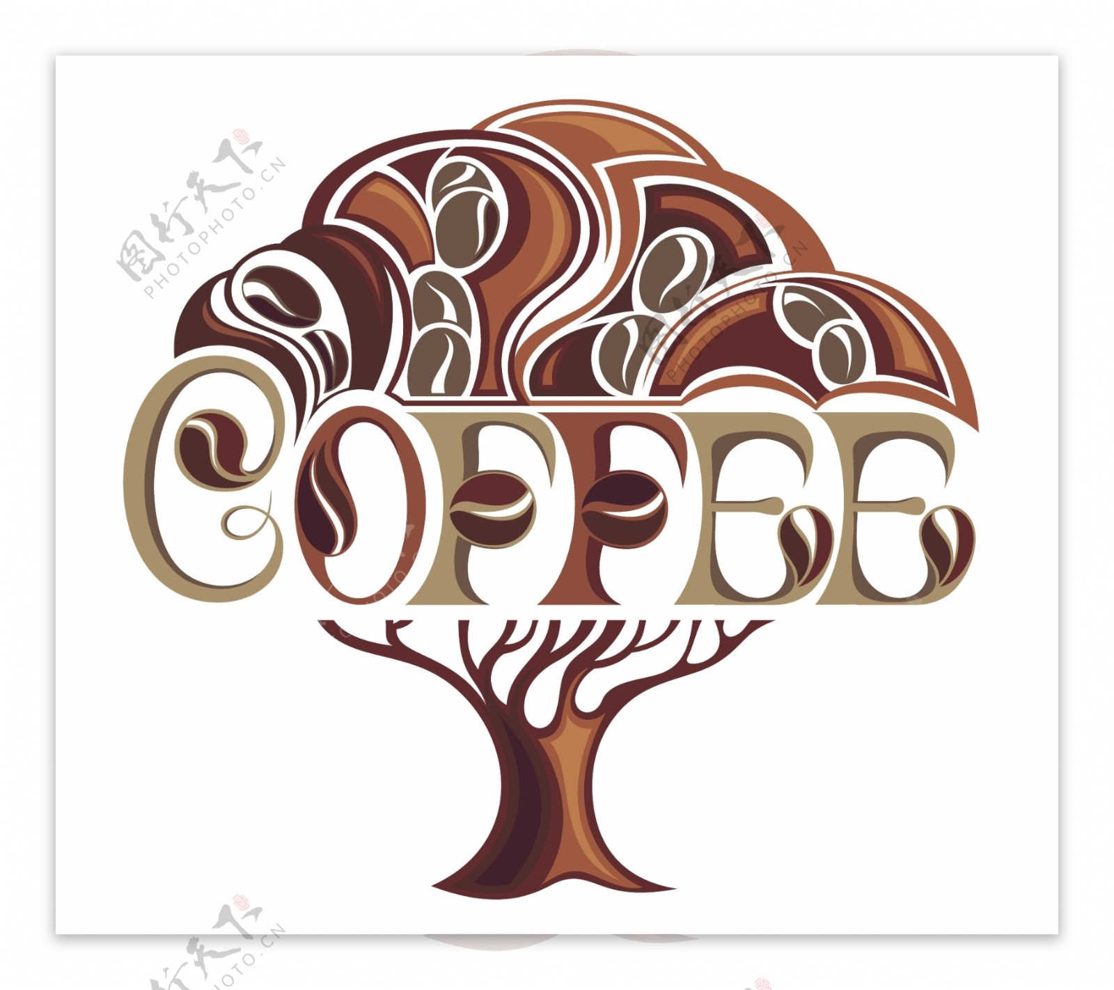 咖啡树