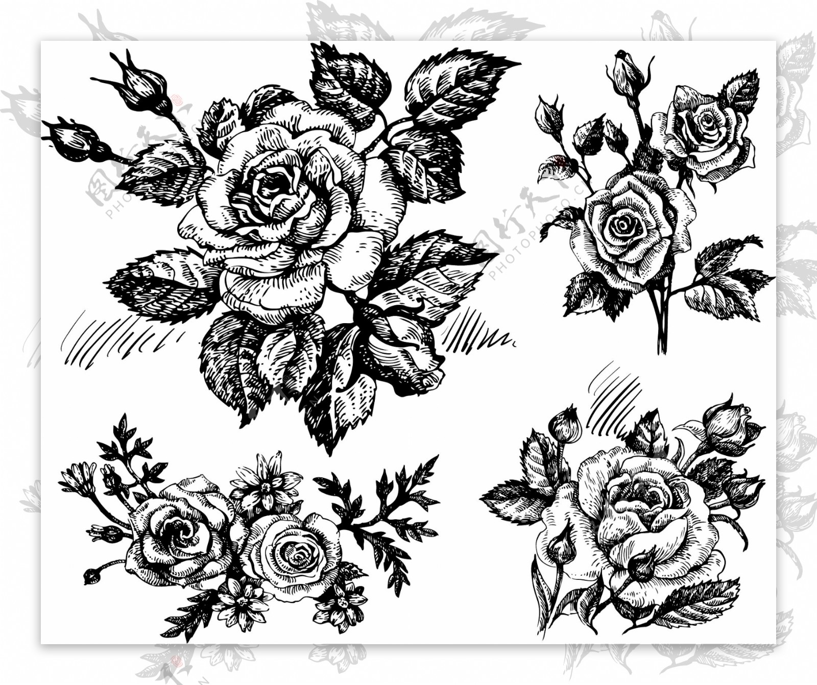 手绘素描立体玫瑰花图片素材-编号28832683-图行天下