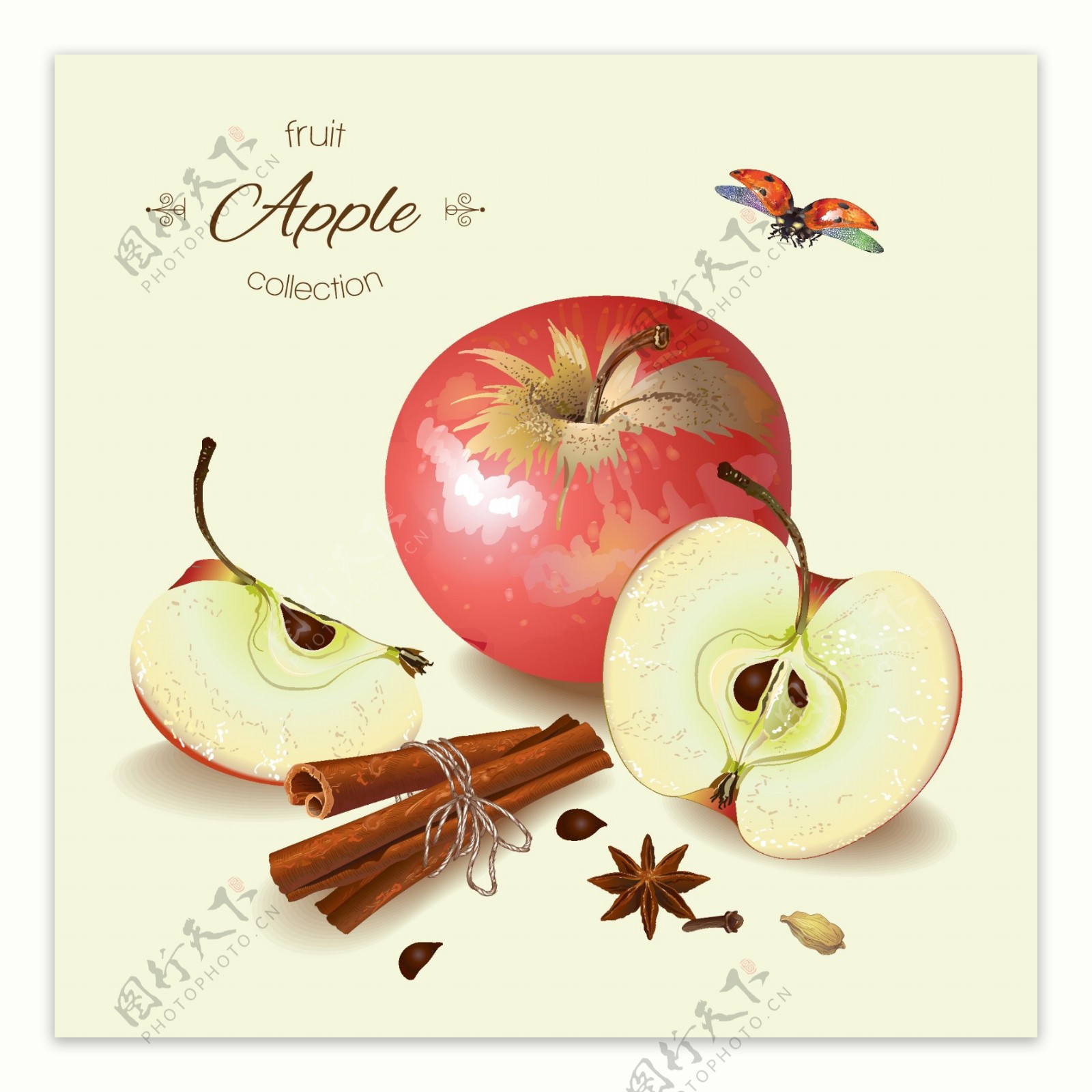 苹果和调料插画