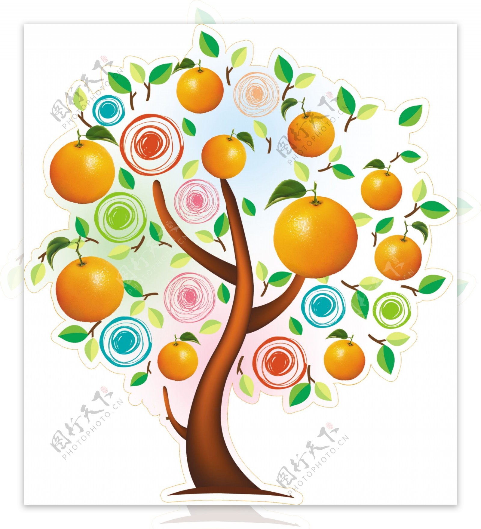 柑橘节图片